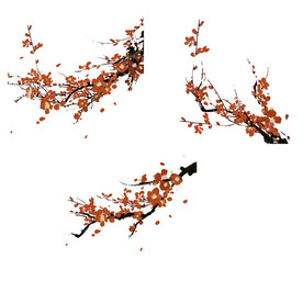 水墨红梅腊梅梅花花卉背景