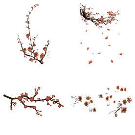 水墨红梅腊梅梅花花卉背景