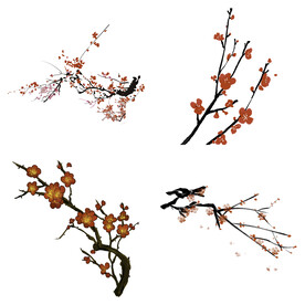 水墨红梅腊梅梅花花卉背景