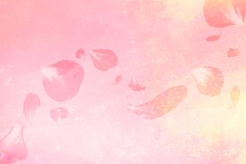 粉色水彩背景
