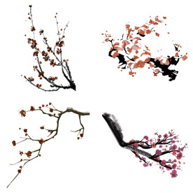 水墨红梅腊梅梅花花卉背景