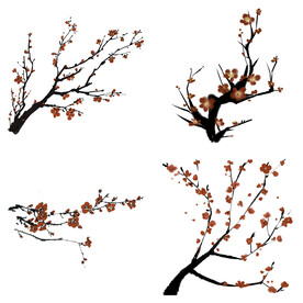 水墨红梅腊梅梅花花卉背景