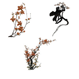 水墨红梅腊梅梅花花卉背景