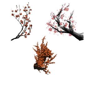 水墨红梅腊梅梅花花卉背景