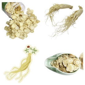 中药药材草药人参西洋参