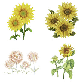 可爱卡通手绘向日葵太阳花