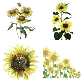 可爱卡通手绘向日葵太阳花