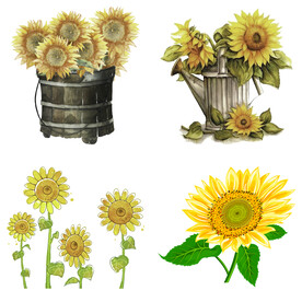 可爱卡通手绘向日葵太阳花