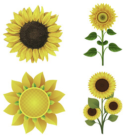 可爱卡通手绘向日葵太阳花