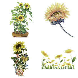 可爱卡通手绘向日葵太阳花