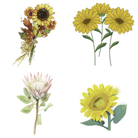 可爱卡通手绘向日葵太阳花