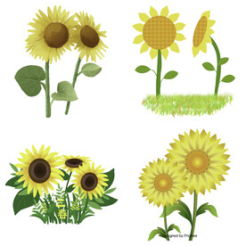 可爱卡通手绘向日葵太阳花