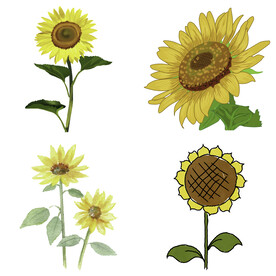 可爱卡通手绘向日葵太阳花