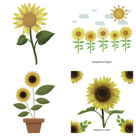 可爱卡通手绘向日葵太阳花