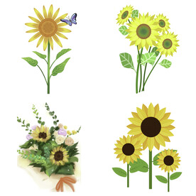 可爱卡通手绘向日葵太阳花