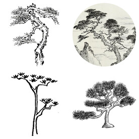 中国风水墨松树松枝迎客松水墨画