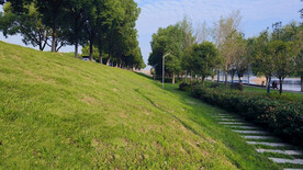 公园草地石板路