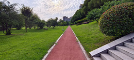 公园步道