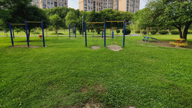 生态公园草地绿树