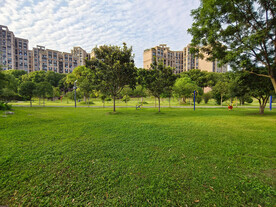 生态公园草地绿树