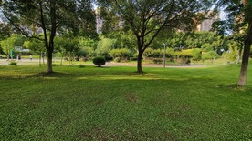 生态公园草地绿树