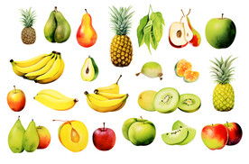 热带水果水彩画插图