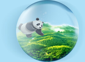 熊猫在水球里遨游