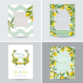  小清新柠檬边框