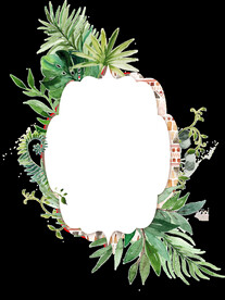 水彩绿植边框 