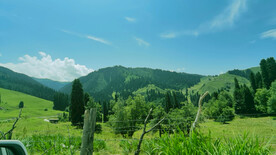 山川 草原 森林