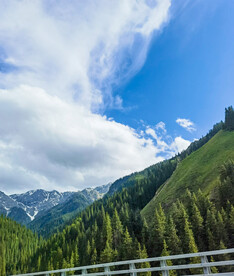 草原 森林 雪山