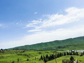 山川 草原 河流