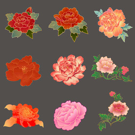 国潮中国风红色粉色牡丹花