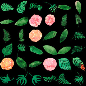 水彩绿植花卉png 