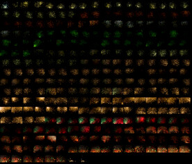 280张光斑后期溶图