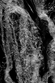 透明塑料袋纹理素材