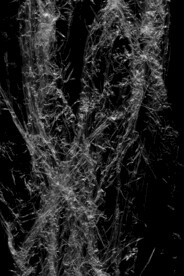 透明塑料袋纹理素材