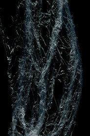 透明塑料袋纹理素材