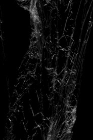 透明塑料袋纹理素材