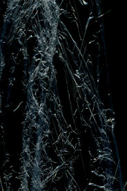 透明塑料袋纹理素材