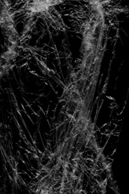 透明塑料袋纹理素材