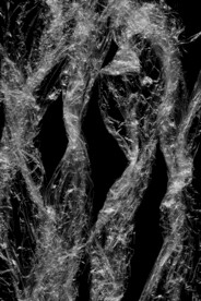 透明塑料袋纹理素材