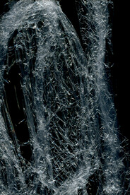 透明塑料袋纹理素材