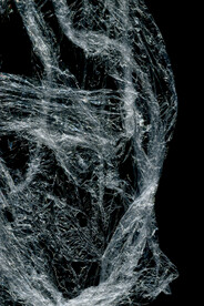 透明塑料袋纹理素材