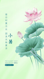 小暑节气莲花海报