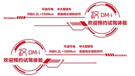 比亚迪 汉DMi