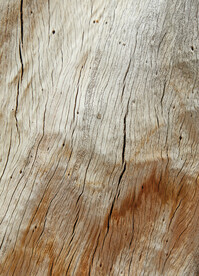 木纹