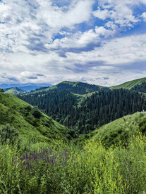 山川 云海 雪山
