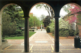 别墅庭院景观设计