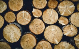 木板木材木纹背景